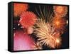 Fireworks Display-null-Framed Stretched Canvas