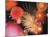 Fireworks Display-null-Mounted Photographic Print