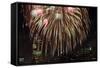 Fireworks Display-Rebecca Barger-Framed Stretched Canvas