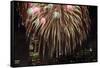 Fireworks Display-Rebecca Barger-Framed Stretched Canvas