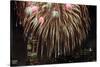 Fireworks Display-Rebecca Barger-Stretched Canvas