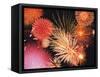 Fireworks Display-null-Framed Stretched Canvas