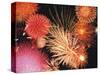 Fireworks Display-null-Stretched Canvas