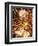 Fireworks Display-Steve Bavister-Framed Premium Photographic Print