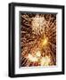 Fireworks Display-Steve Bavister-Framed Premium Photographic Print