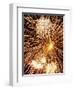 Fireworks Display-Steve Bavister-Framed Premium Photographic Print