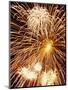 Fireworks Display-Steve Bavister-Mounted Premium Photographic Print