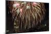 Fireworks Display-Rebecca Barger-Mounted Photographic Print