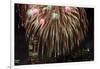 Fireworks Display-Rebecca Barger-Framed Photographic Print