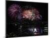 Fireworks Explode after the Cauldron Was Lit at the Vancouver 2010 Olympics-null-Mounted Photographic Print