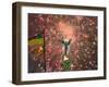 Fireworks Explode Behind the Independence Column, after a Huge Opposition Rally in Kiev-null-Framed Photographic Print