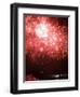 Fireworks Explode During the Opening Ceremony of the Vancouver 2010 Olympics-null-Framed Photographic Print