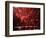 Fireworks Explode over the Olympic Rings During the Opening Ceremony of the Vancouver 2010 Olympics-null-Framed Photographic Print