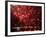 Fireworks Explode over the Olympic Rings During the Opening Ceremony of the Vancouver 2010 Olympics-null-Framed Photographic Print