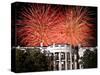 Fireworks Explode Over the White House-null-Stretched Canvas