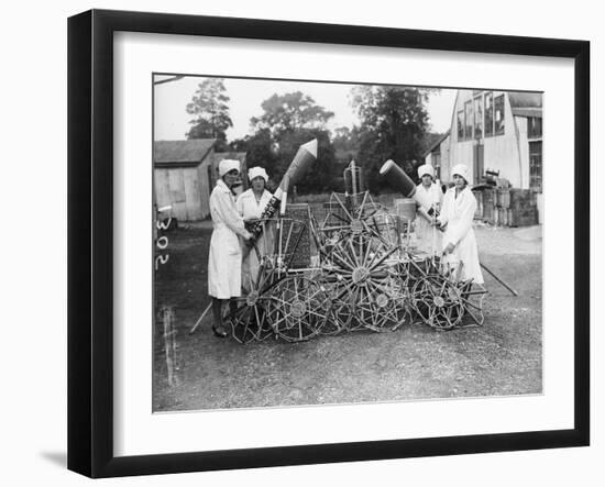 Fireworks Factory-null-Framed Photographic Print