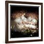 Fireworks Flash over Sydney Harbor During New Year Celebrations-null-Framed Premium Photographic Print