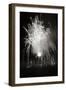 Fireworks I-Tammy Putman-Framed Photographic Print