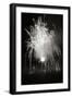 Fireworks I-Tammy Putman-Framed Photographic Print