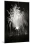 Fireworks I-Tammy Putman-Mounted Premium Photographic Print