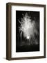 Fireworks I-Tammy Putman-Framed Photographic Print