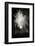 Fireworks I-Tammy Putman-Framed Photographic Print