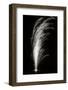 Fireworks II-Tammy Putman-Framed Photographic Print