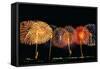 Fireworks in a Row at Night-null-Framed Stretched Canvas