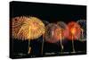 Fireworks in a Row at Night-null-Stretched Canvas