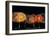 Fireworks in a Row at Night-null-Framed Photographic Print