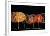 Fireworks in a Row at Night-null-Framed Photographic Print