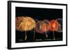 Fireworks in a Row at Night-null-Framed Photographic Print