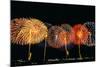 Fireworks in a Row at Night-null-Mounted Photographic Print