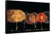 Fireworks in a Row at Night-null-Framed Stretched Canvas