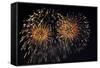 Fireworks in Night Sky-Nosnibor137-Framed Stretched Canvas