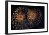 Fireworks in Night Sky-Nosnibor137-Framed Photographic Print