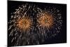 Fireworks in Night Sky-Nosnibor137-Mounted Photographic Print