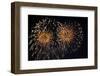 Fireworks in Night Sky-Nosnibor137-Framed Photographic Print