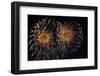 Fireworks in Night Sky-Nosnibor137-Framed Photographic Print