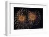 Fireworks in Night Sky-Nosnibor137-Framed Photographic Print