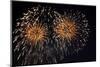 Fireworks in Night Sky-Nosnibor137-Mounted Photographic Print