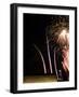 Fireworks Light up the Air Force Memorial-Stocktrek Images-Framed Photographic Print