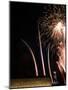 Fireworks Light up the Air Force Memorial-Stocktrek Images-Mounted Photographic Print