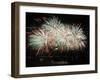 Fireworks Light Up the Night Sky after the Opening Ceremony for the Vancouver 2010 Olympics-null-Framed Photographic Print