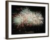 Fireworks Light Up the Night Sky after the Opening Ceremony for the Vancouver 2010 Olympics-null-Framed Photographic Print