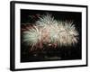 Fireworks Light Up the Night Sky after the Opening Ceremony for the Vancouver 2010 Olympics-null-Framed Photographic Print
