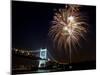 Fireworks Light up the Sky Over the Triborough Bridge and the East River-null-Mounted Premium Photographic Print