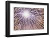 Fireworks on July 4th, at Gasworks Park, Seattle, Washington, USA-Jamie & Judy Wild-Framed Photographic Print