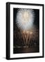 Fireworks on July 4th, at Gasworks Park; Space Needle in Background, Seattle, Washington, USA-Jamie & Judy Wild-Framed Photographic Print