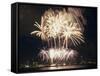 Fireworks on July 4th, at Gasworks Park; Space Needle in Background, Seattle, Washington, USA-Jamie & Judy Wild-Framed Stretched Canvas